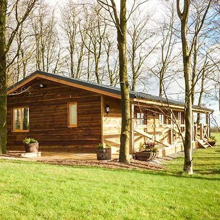 Valley View Lodge Trelystan Zewnętrze zdjęcie